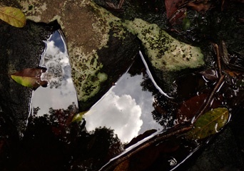 PA291217a.jpg